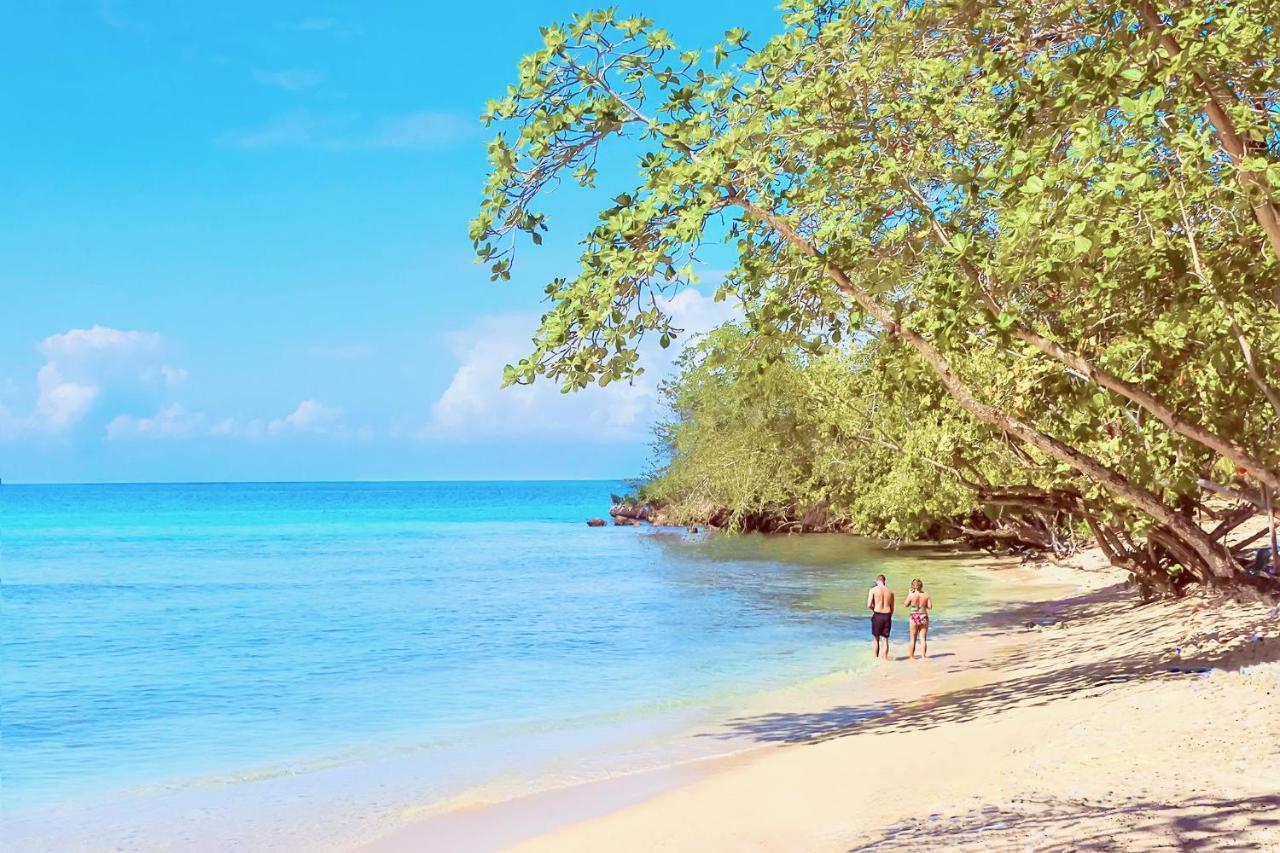 Stunning Ocean View Villa Negril Kültér fotó